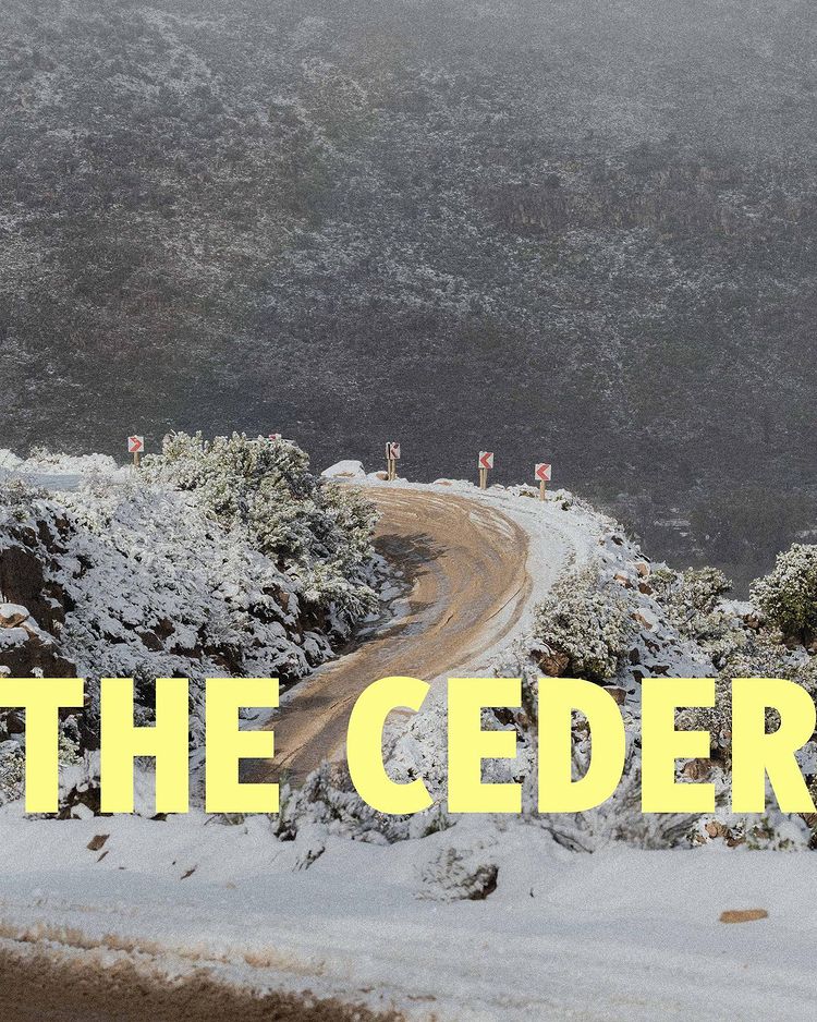 The Ceder  🙂